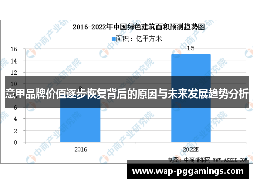 意甲品牌价值逐步恢复背后的原因与未来发展趋势分析