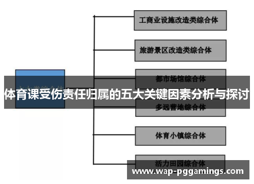 体育课受伤责任归属的五大关键因素分析与探讨