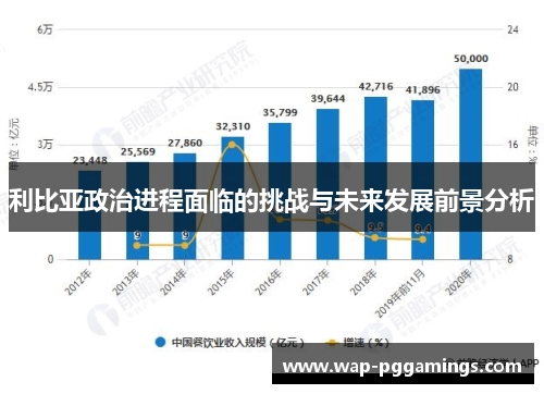 利比亚政治进程面临的挑战与未来发展前景分析