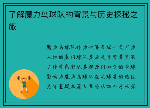 了解魔力鸟球队的背景与历史探秘之旅