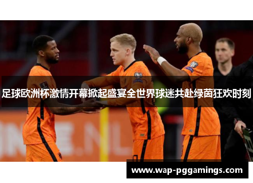 足球欧洲杯激情开幕掀起盛宴全世界球迷共赴绿茵狂欢时刻 足球欧洲杯激情开幕掀起盛宴全世界球迷共赴绿茵狂欢时刻
