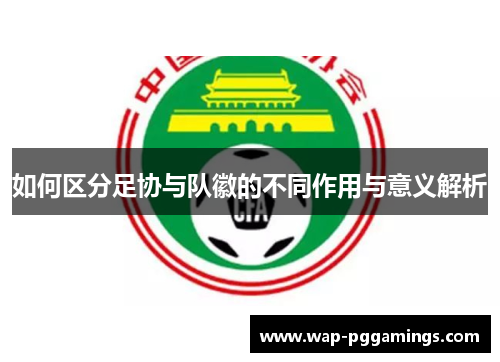 如何区分足协与队徽的不同作用与意义解析 如何区分足协与队徽的不同作用与意义解析