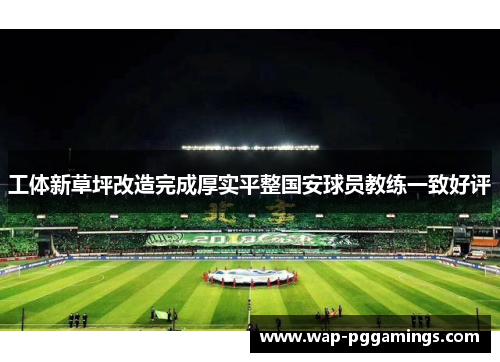 工体新草坪改造完成厚实平整国安球员教练一致好评